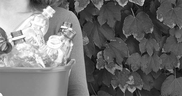 Seoul National University