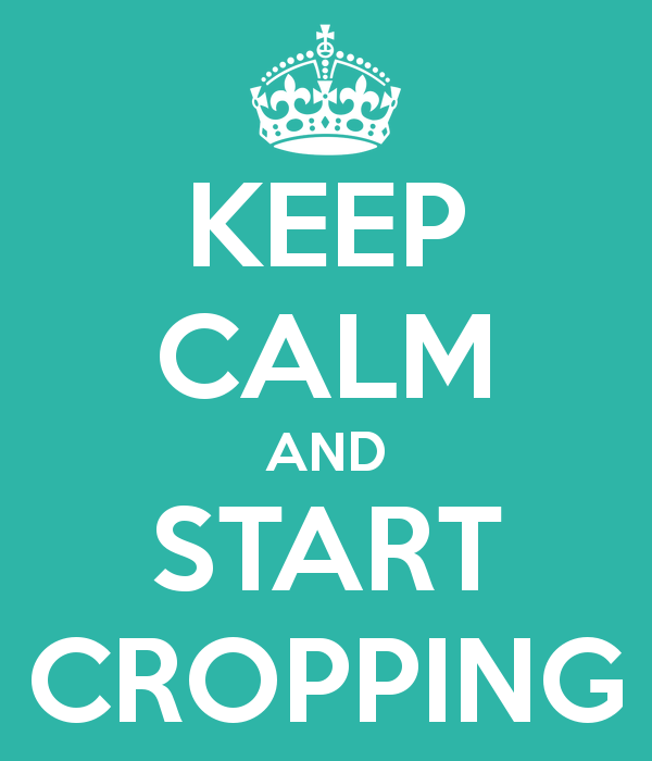 Keep Calm and Start Cropping